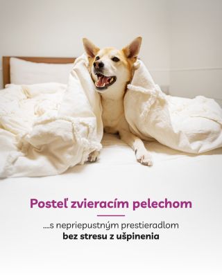 🐾 Posteľ ako zvierací pelech? Žiadny problém… ak máte nepriepustné prestieradlo! 🙈✨ Chlpy, packy, nehody alebo ranná káva...